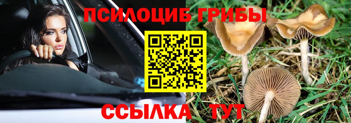 Галлюциногенные грибы мицелий Брянск