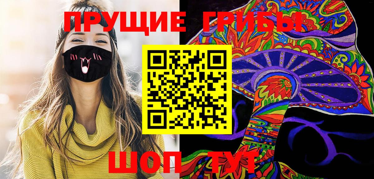 Брянск  Псилоцибиновые грибы MAGIC MUSHROOMS  Вход с VPN 